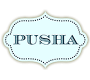 Pusha (Україна)